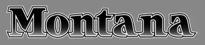 1 Rv Trailer Keystone Montana Logo Decal Graphic -951-3