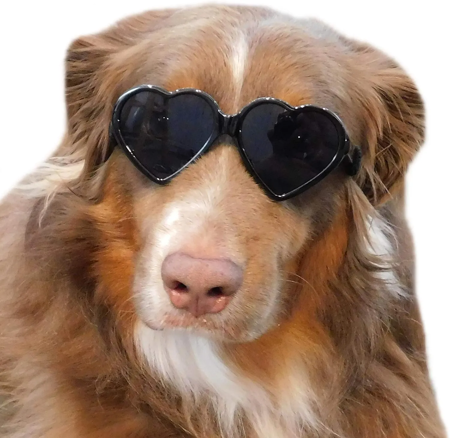 G012 Dog Pet Costume Prop Sunglasses Heart Shape Medium Breeds 20lb-40lbs (2-Pack Red Black)