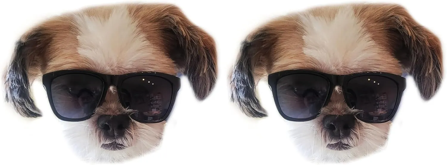 G014 Dog Cat Pet 80s Sunglasses Goggles for Small Breeds up to 15lbs (2-Pack Black Black)