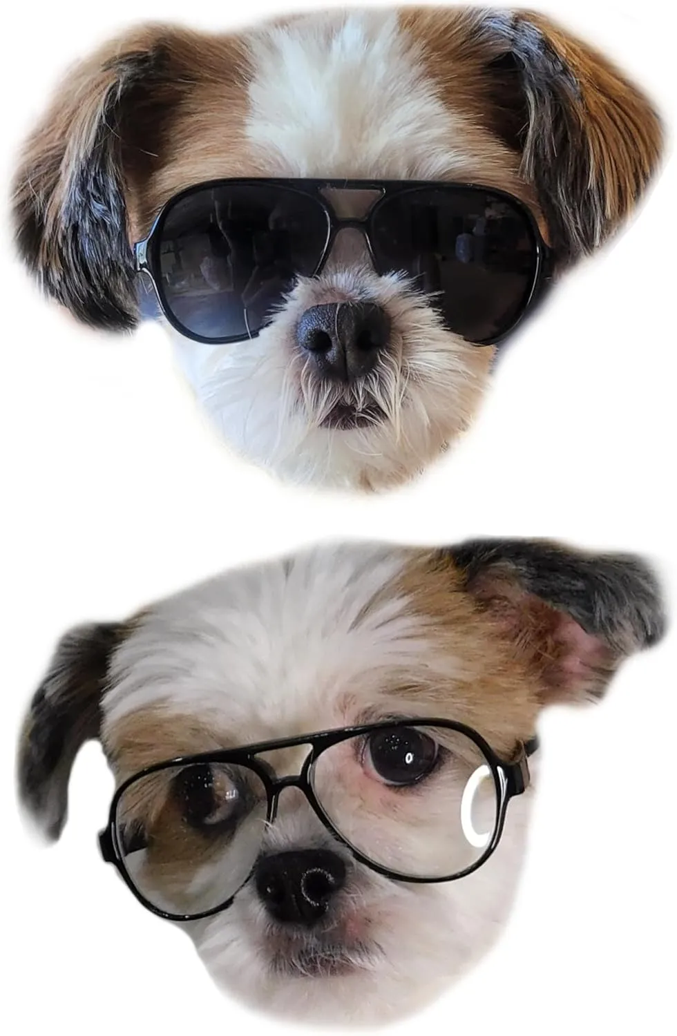 G029 Dog Cat Pet Aviator Pilot Sunglasses Glasses for Small Breeds up to 15lbs (2-Pack Black   Black-Clear Lens)