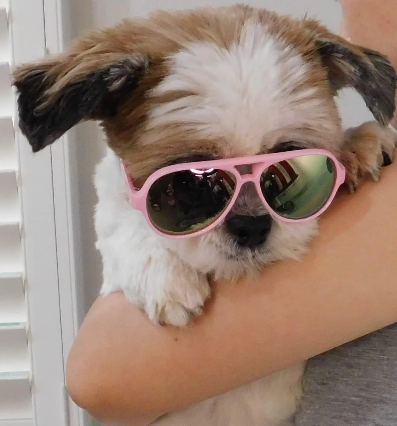 G029 Dog Cat Pet Aviator Pilot Sunglasses Glasses for Small Breeds up to 15lbs (2-Pack Black   Pink-Pink Mirror)
